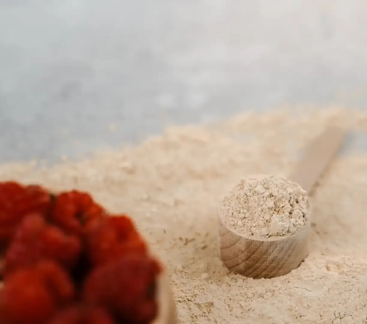 NaturalProtein Hrachový protein - náhled 3