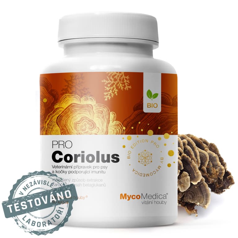 MycoMedica Coriolus PRO 90 cps. - MycoMedica