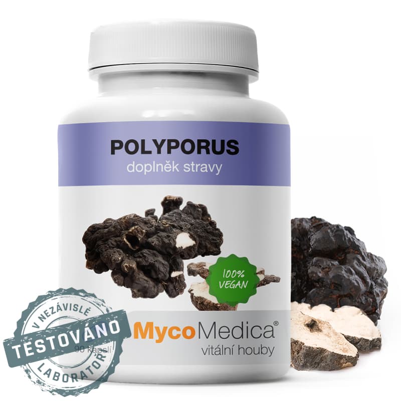 MycoMedica Polyporus 90 cps. - MycoMedica