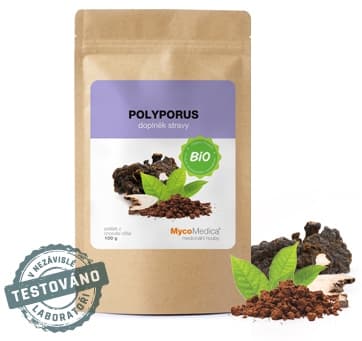 BIO Polyporus prášek 100g - MycoMedica