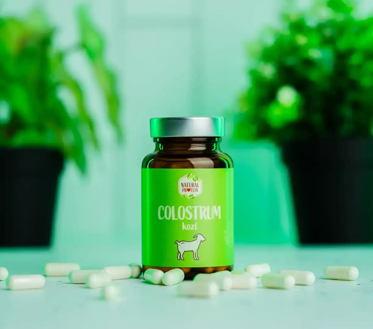 NaturalProtein Kozí colostrum - náhled 2