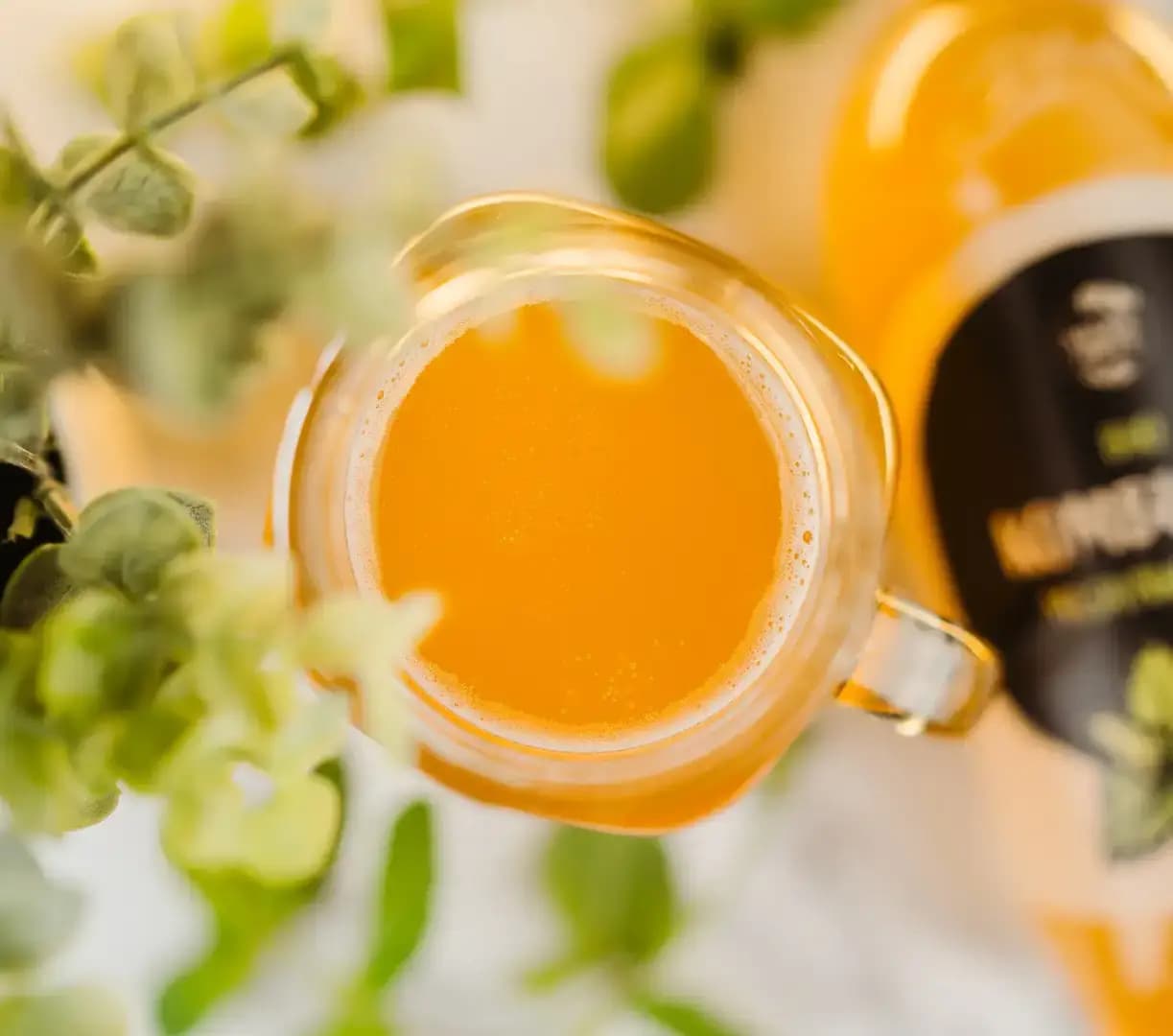 NaturalProtein BIO Kombucha meduňkový čaj - náhled 2
