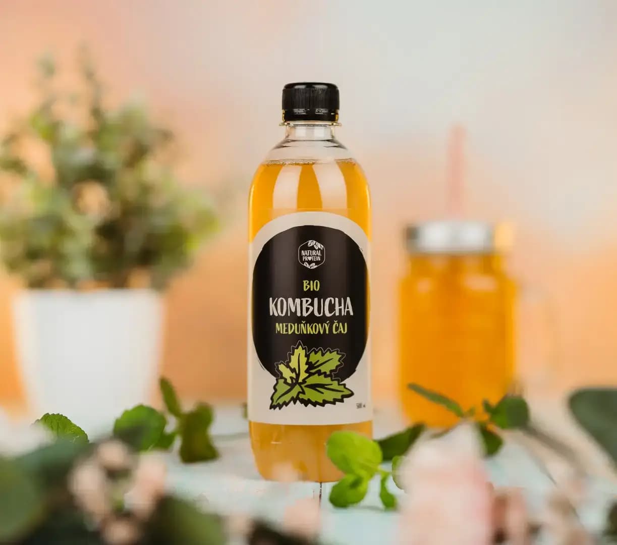 NaturalProtein BIO Kombucha meduňkový čaj - náhled 4