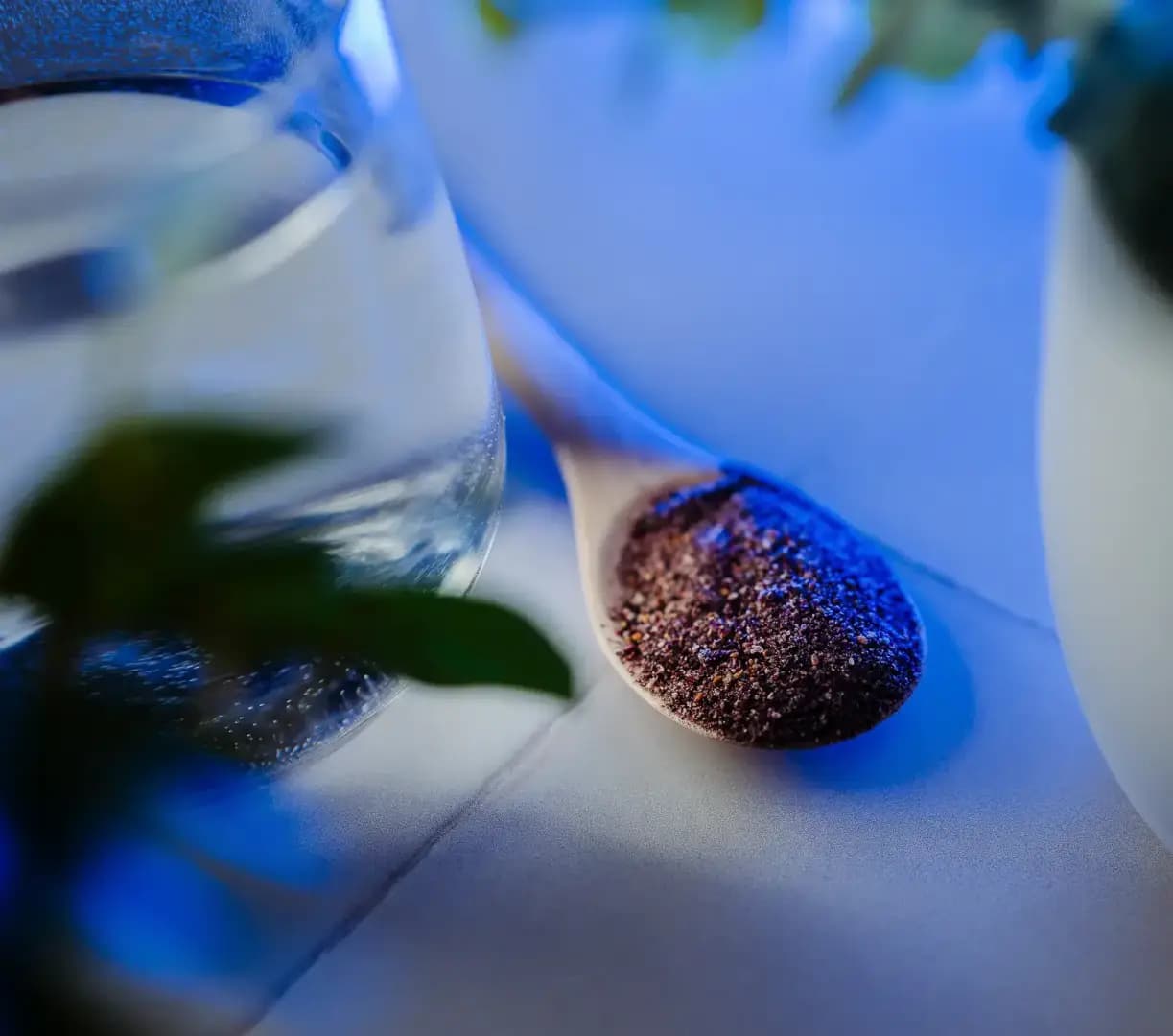 NaturalProtein Mrazem sušené borůvky prášek - náhled 4