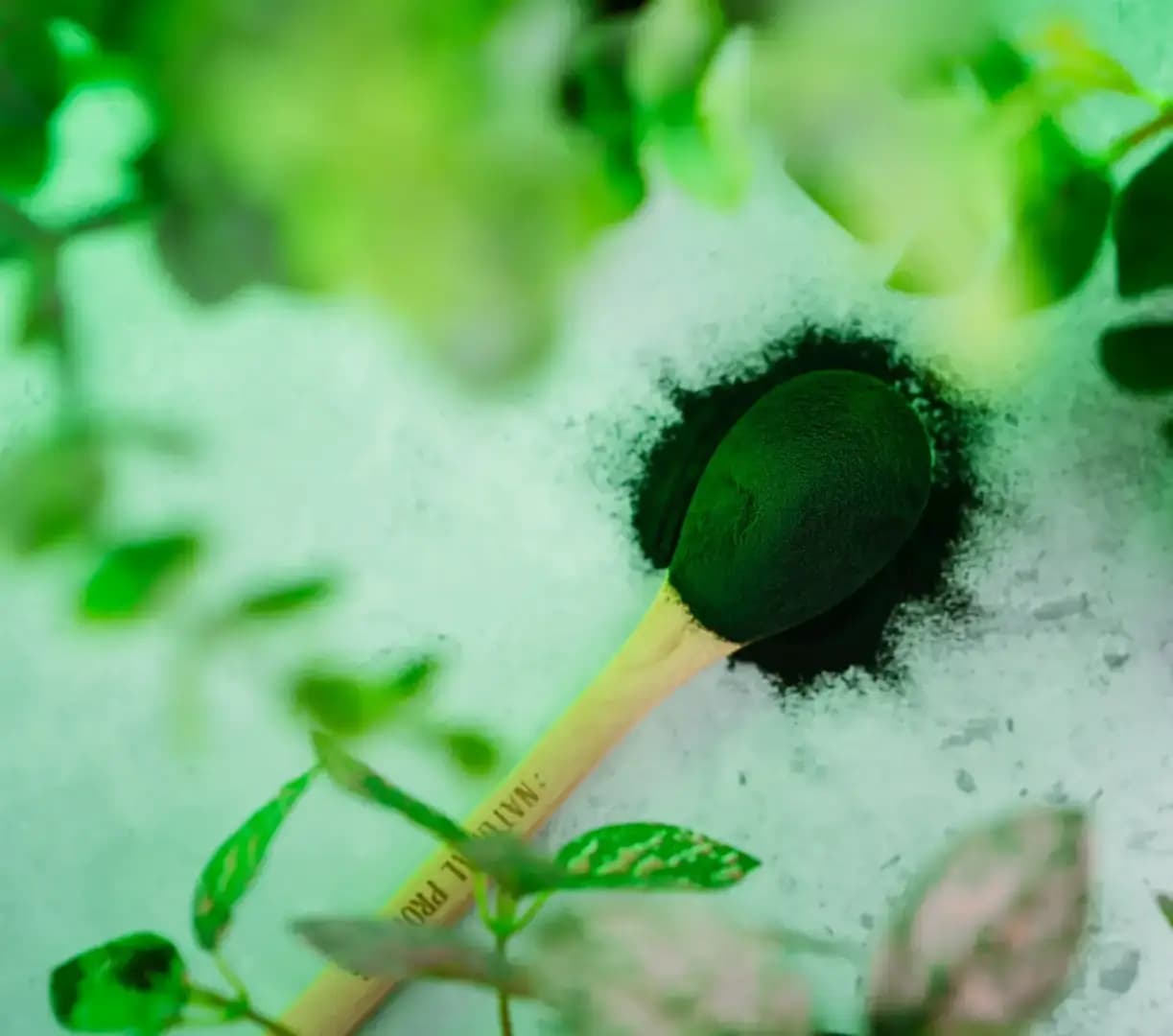 NaturalProtein Spirulina BIO - náhled 5