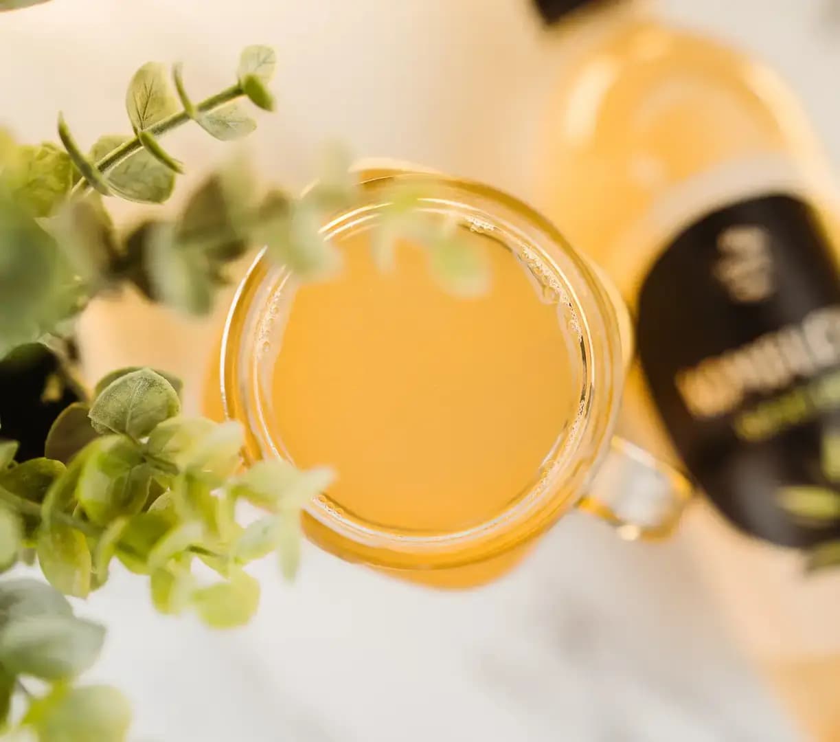NaturalProtein Kombucha kočičí dráp - náhled 2